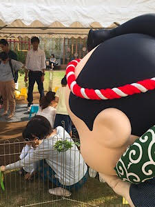 decchii_usaginozokikomi.jpg