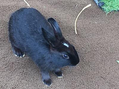 続・中秋の名月を愛でながら・・