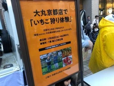 「収穫から０分、出張いちご狩り」体験をしてきたよーの巻