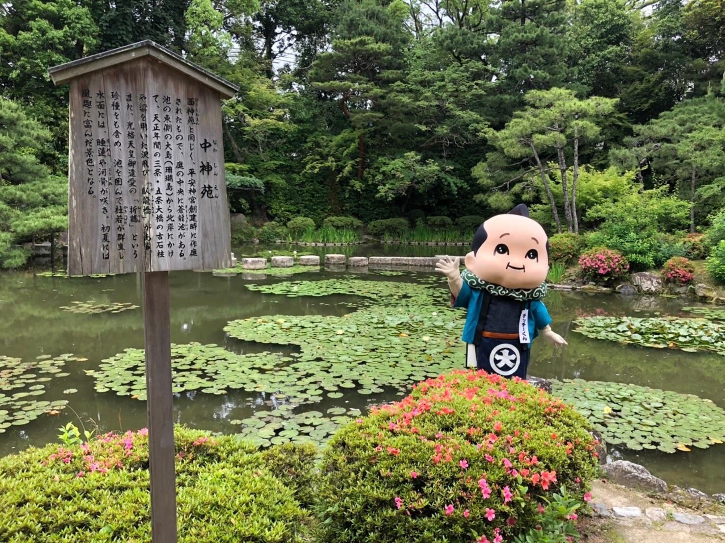 歴史ある御庭の世界！の巻