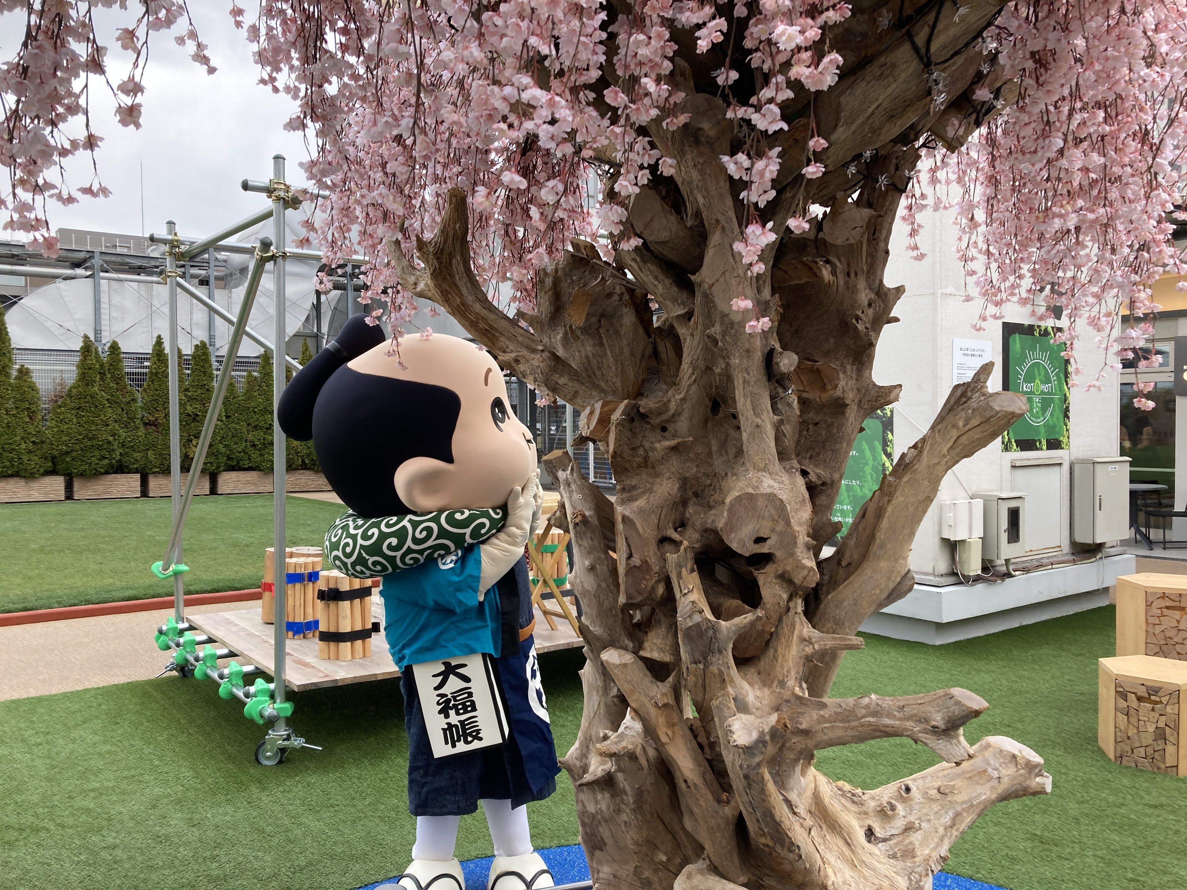 大丸京都店でお花見しましょう！の巻