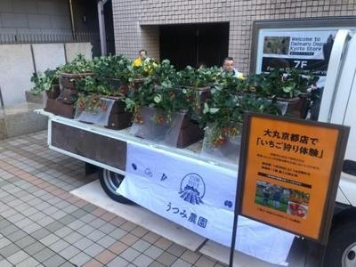 いちご狩り⒈.jpg