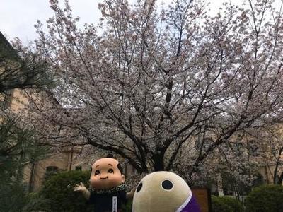 ブログ6.jpg