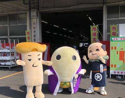 青果19.jpg