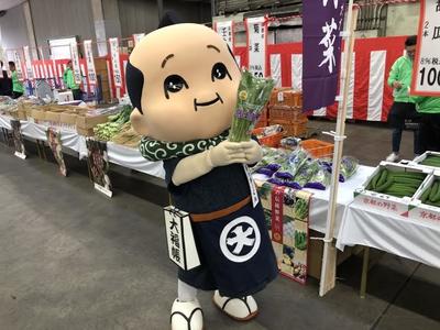 青果20.jpg