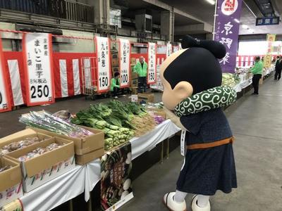 青果11.jpg