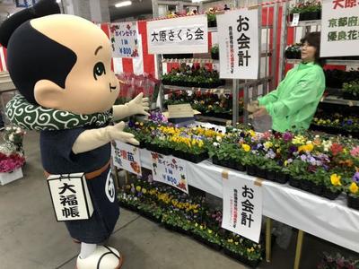 青果8.jpg
