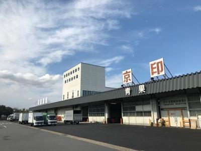 青果1.jpg