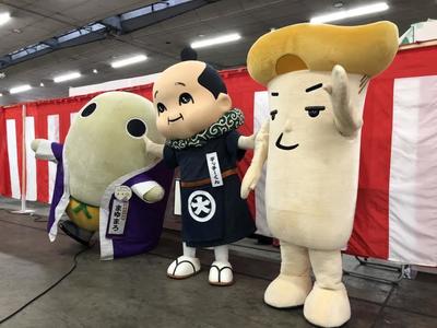 青果16.jpg