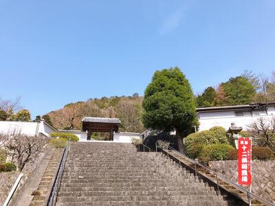 IMG_1437.JPG
