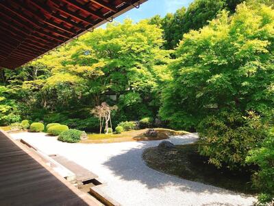 泉涌寺19.jpg