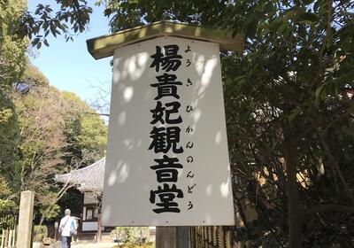 泉涌寺7.jpg