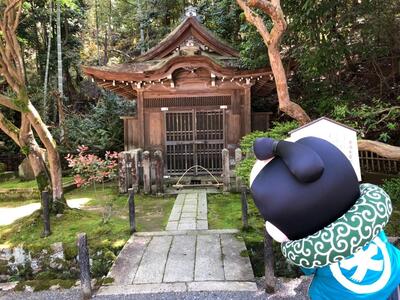 泉涌寺10.jpg