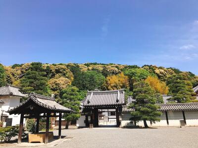 泉涌寺12.jpg
