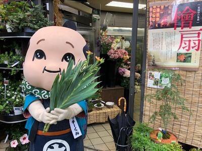 池坊21.JPG