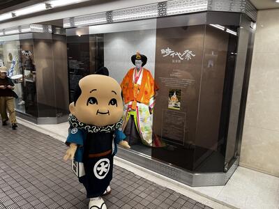 IMG-8484.jpg