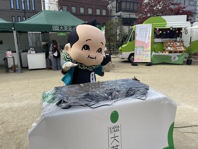 IMG_2981.jpeg