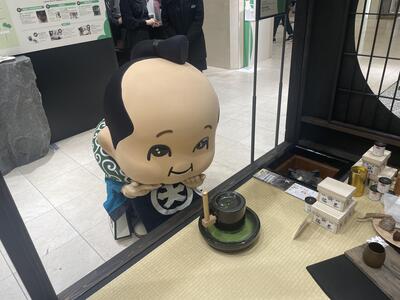 IMG_3391.jpeg