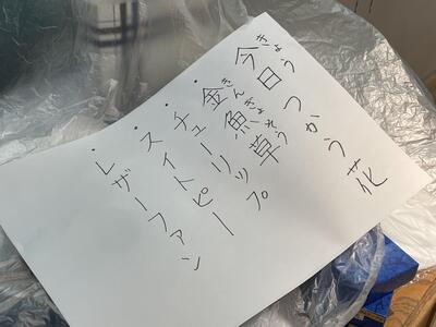 IMG-5056.jpg