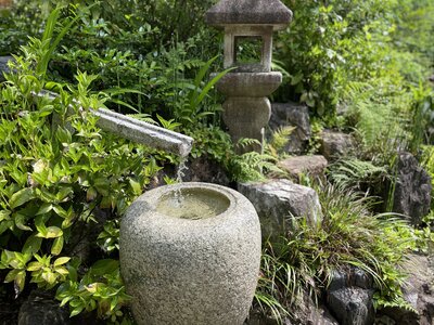 IMG-6402.jpg