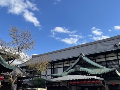 IMG_2868 (1).JPG