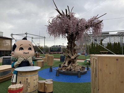 IMG_9099.JPG