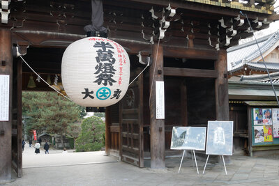 P1780483.jpg